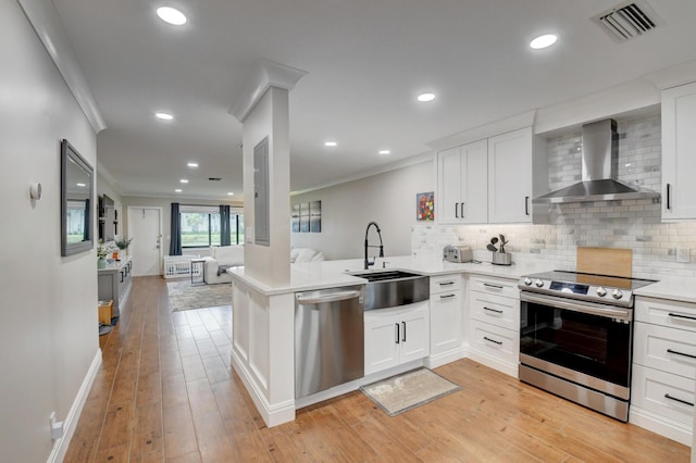 kitchen featuring crown molding, a sink, wall chimney exhaust hood, and stainless steel appliances