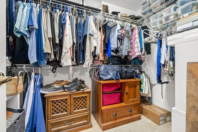 view of walk in closet