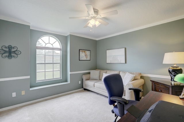 office with carpet flooring, ceiling fan, crown molding, and baseboards