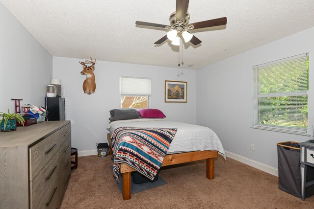 bedroom featuring carpet floors, a textured ceiling, and multiple windows