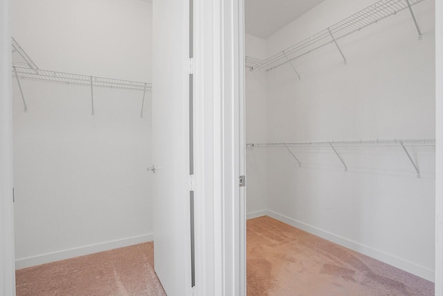 340 Pioneer Way, Royal Palm Beach, FL 33411 - walk in closet with carpet flooring
