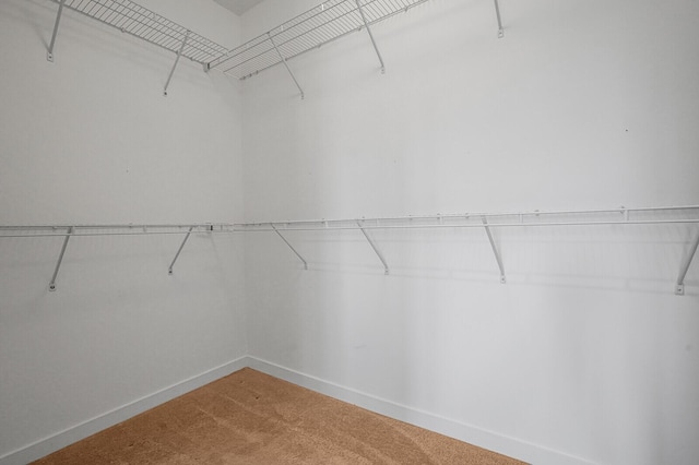 340 Pioneer Way, Royal Palm Beach, FL 33411 - walk in closet with light colored carpet
