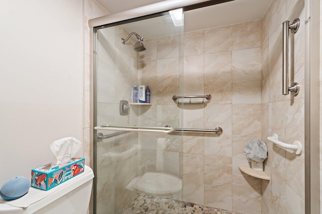 bathroom with toilet and a stall shower