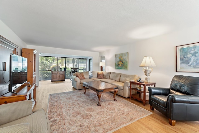 living room featuring light wood-style floors