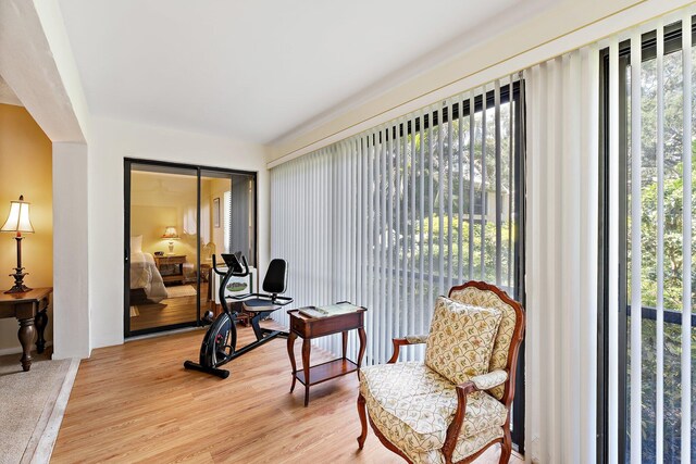 sitting room with healthy amount of natural light and light wood-style flooring
