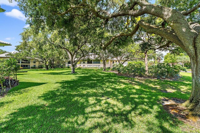 view of grassy yard