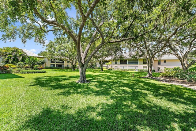 view of green lawn