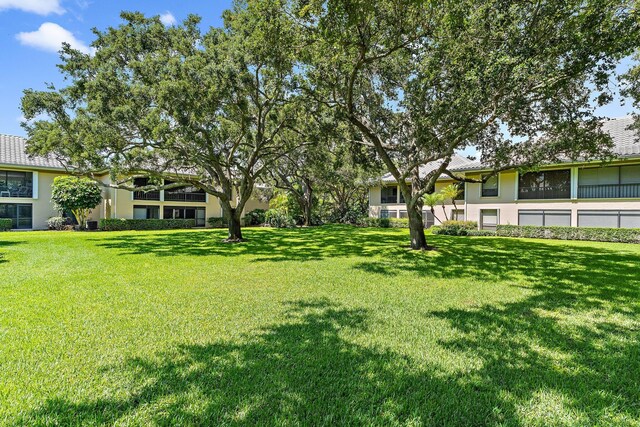 view of grassy yard