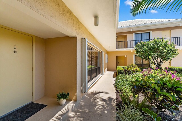 view of exterior entry featuring stucco siding