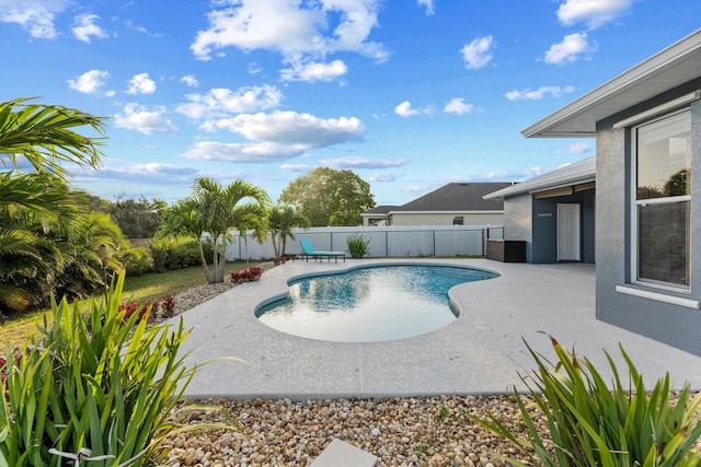 view of pool featuring a fenced in pool, a fenced backyard, and a patio