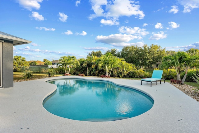 view of swimming pool featuring a fenced in pool, a patio area, and fence