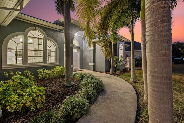 doorway to property featuring stucco siding