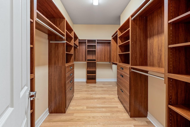 10765 Pisa Rd, Wellington, FL 33414 - walk in closet with light wood-style floors