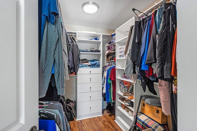 17109 81st Ln N, Loxahatchee, FL 33470 - spacious closet with wood finished floors