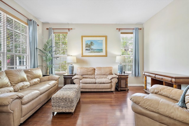 6616 NW 56th Dr, Coral Springs, FL 33067 - living room featuring wood finished floors, plenty of natural light, and baseboards