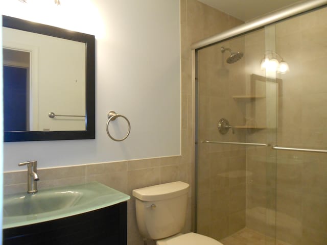 full bathroom featuring vanity, toilet, a wainscoted wall, tile walls, and a stall shower