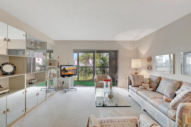 6585 Kensington Ln Unit 307, Delray Beach, FL 33446 - living area with carpet floors