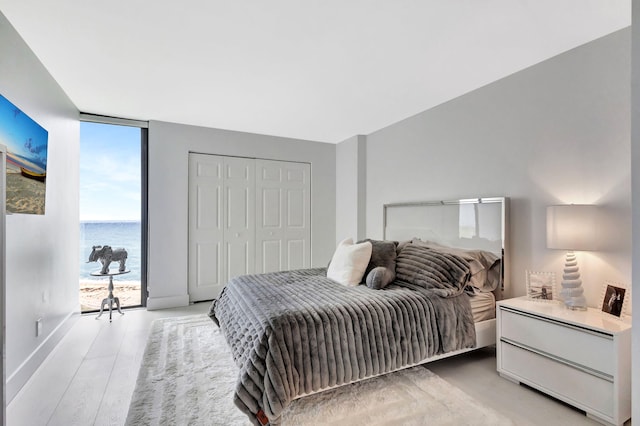 bedroom with a wall of windows, baseboards, a closet, and light wood-style flooring