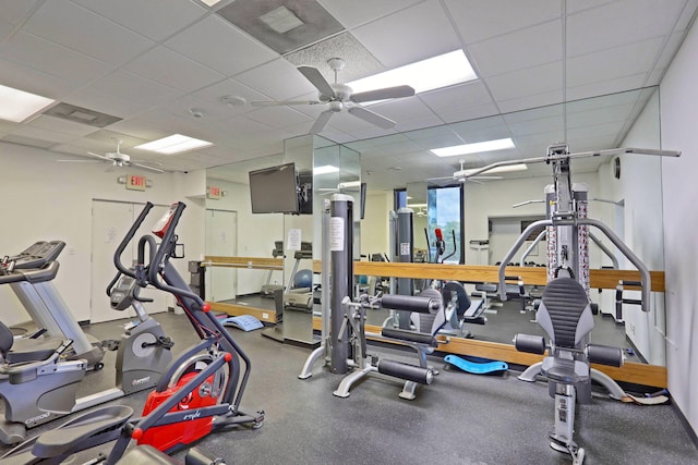 workout area featuring ceiling fan and a paneled ceiling