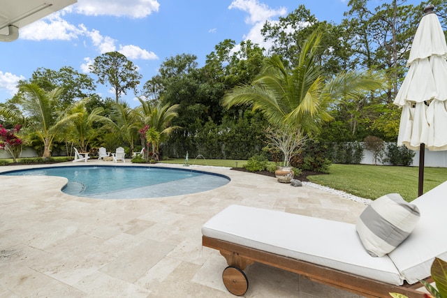 view of pool with a patio