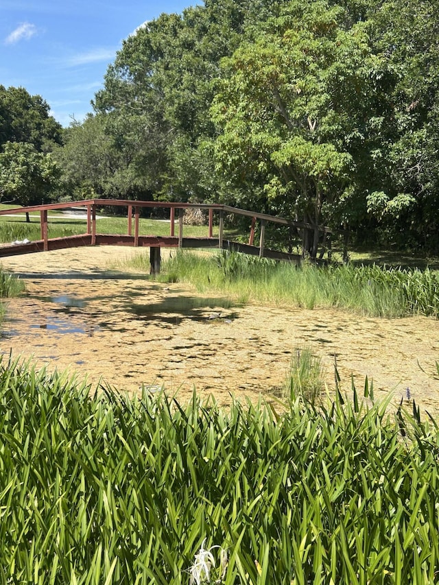 1614 SW Saint Andrews Dr, Palm City, FL 34990 - view of yard