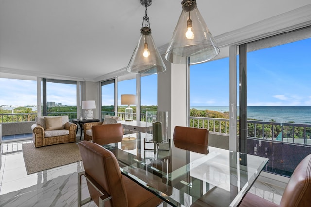 dining area featuring expansive windows and a healthy amount of sunlight