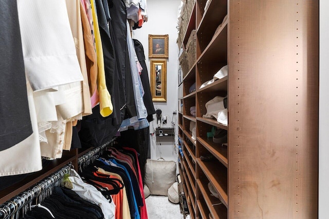15702 Loch Maree Ln Unit 5804, Delray Beach, FL 33446 - view of spacious closet