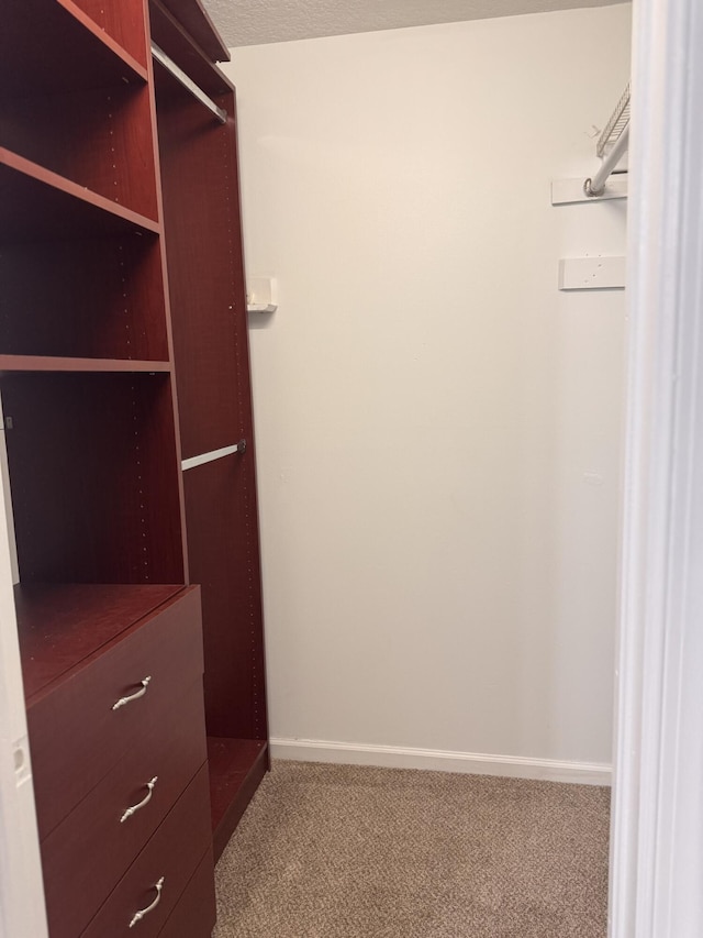 17917 49th St N, Loxahatchee, FL 33470 - spacious closet with carpet
