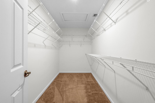 21256 Via Fiore, Boca Raton, FL 33433 - walk in closet with carpet flooring and attic access