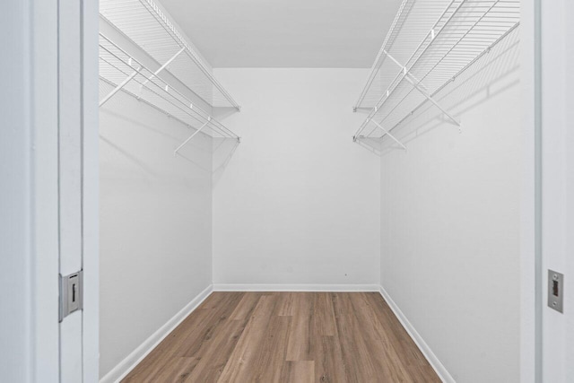 walk in closet with wood finished floors