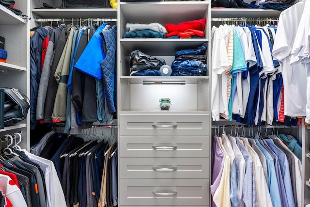 view of spacious closet