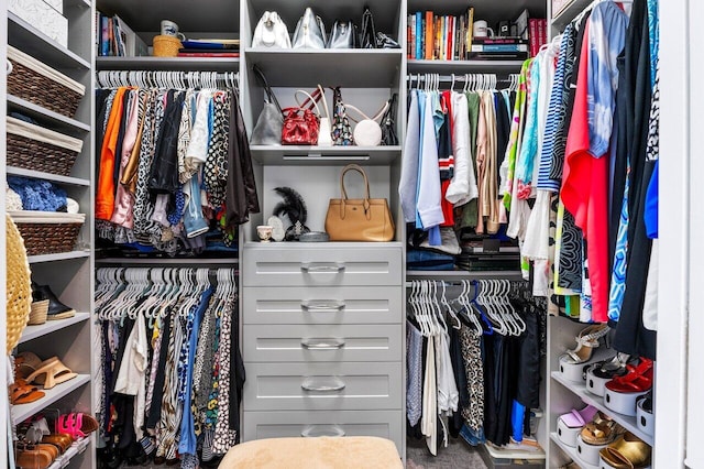 view of spacious closet