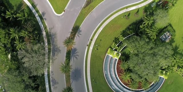 bird's eye view