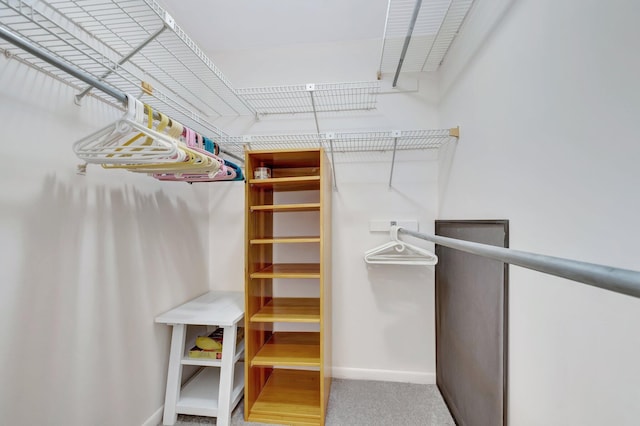 spacious closet featuring carpet flooring