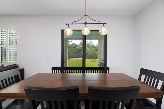 view of dining space