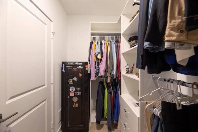 view of walk in closet