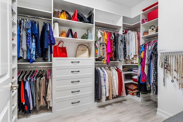 spacious closet with light wood-type flooring