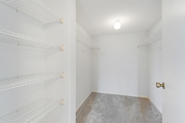 spacious closet with carpet flooring