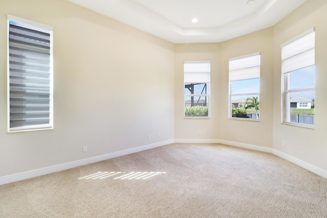 9252 SW Miracoli Way, Port Saint Lucie, FL 34987 - spare room featuring carpet, baseboards, and a wealth of natural light