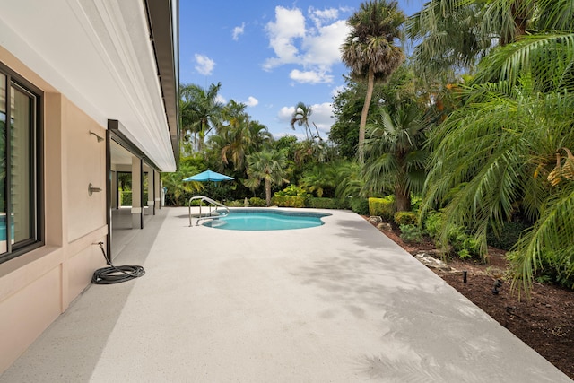 121 Hillcrest Dr, Sewalls Point, FL 34996 - swimming pool featuring a patio area