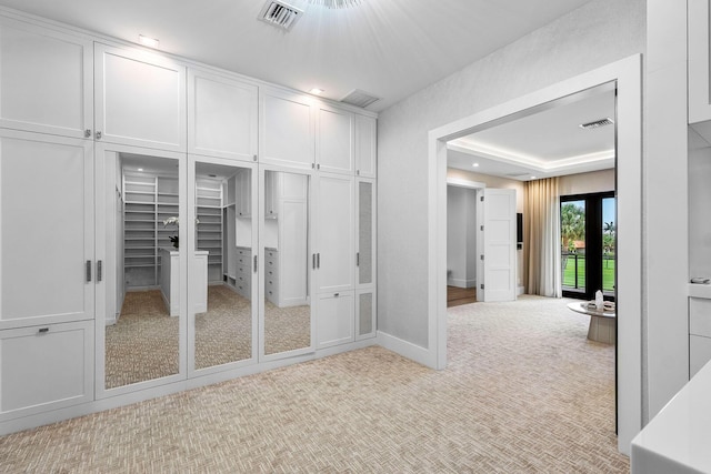walk in closet featuring carpet flooring and a raised ceiling