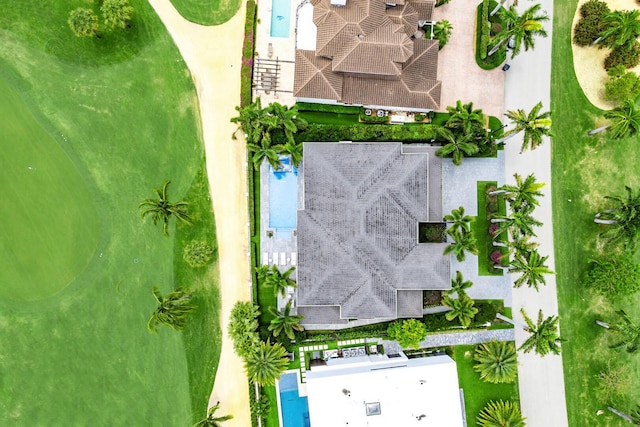 bird's eye view of a pool