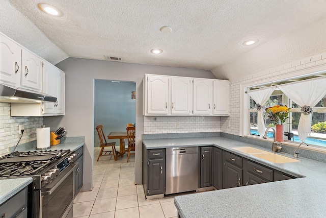 kitchen with a sink, under cabinet range hood, stainless steel appliances, and lofted ceiling