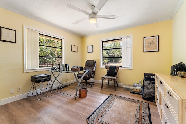 home office with crown molding, ceiling fan, and wood finished floors