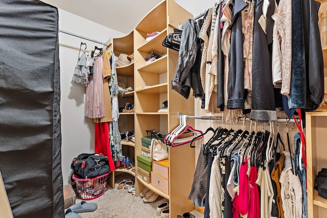 spacious closet featuring carpet flooring