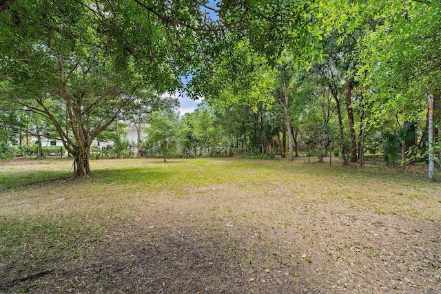 view of yard