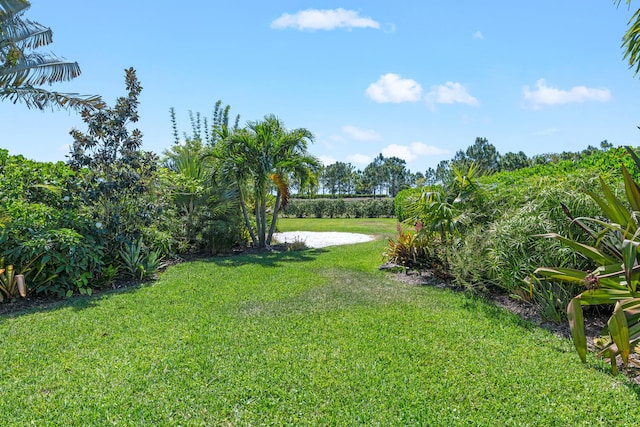 view of yard