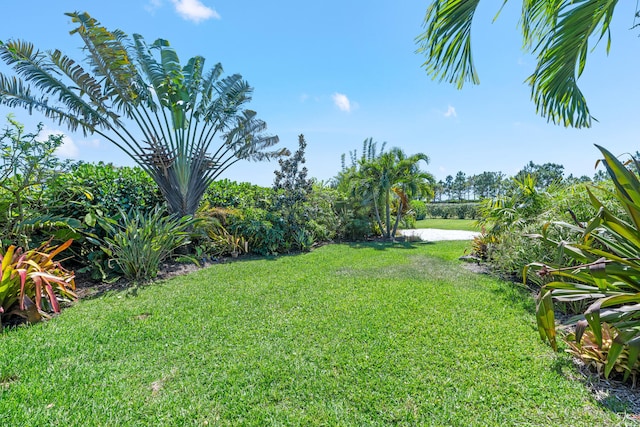 view of yard