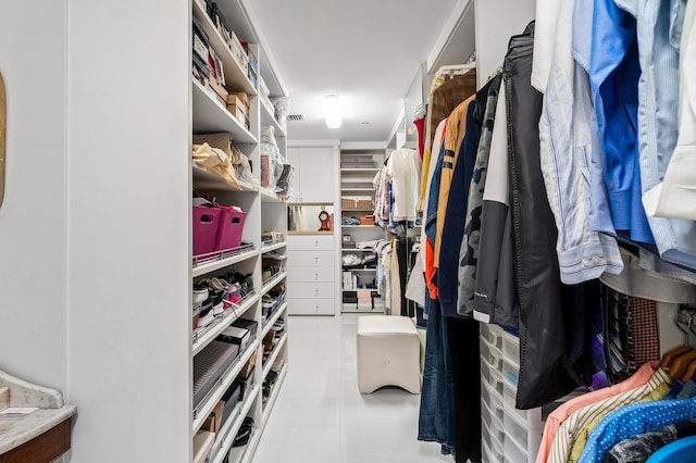 view of walk in closet