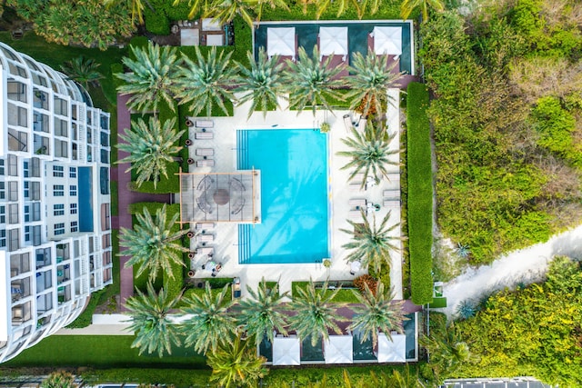 aerial view of a pool area